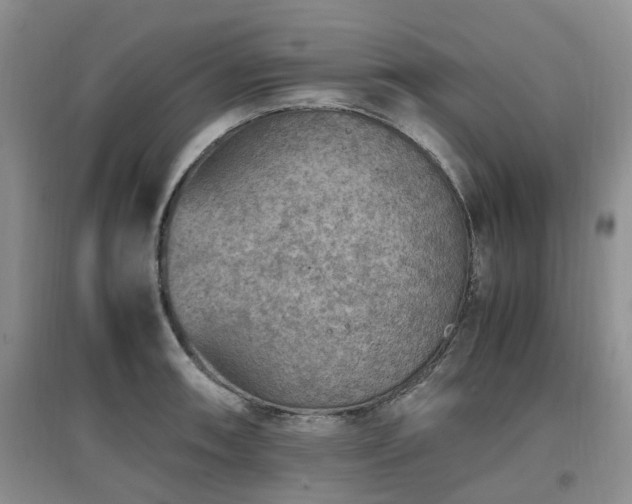X0000097881090200803141315
