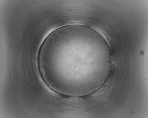 X0000097881091200803141315