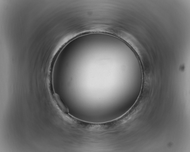 X0000097881093200803141315