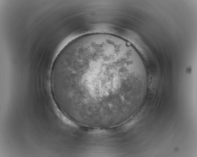 X0000097881094200803141314