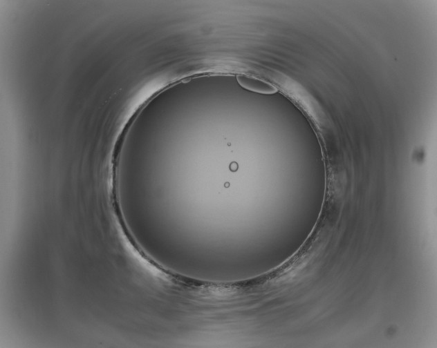 X0000097881095200803141314