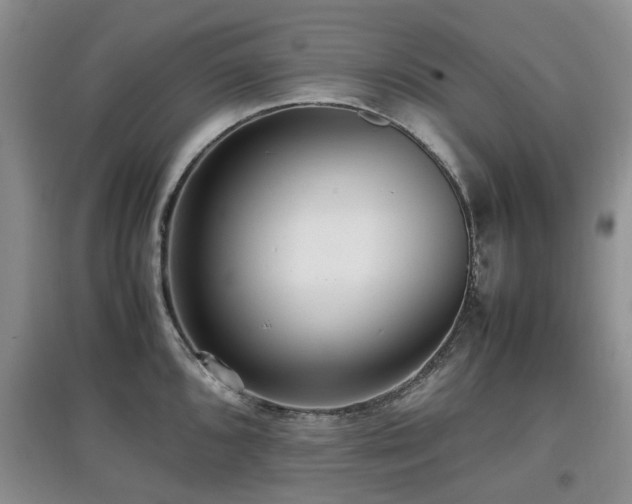 X0000097881096200803141314