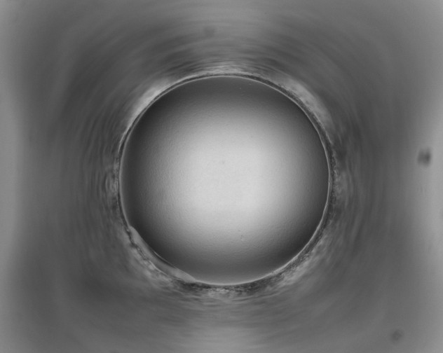 X0000097881097200803141314