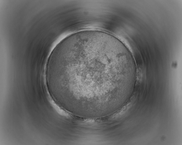 X0000097881098200803141314