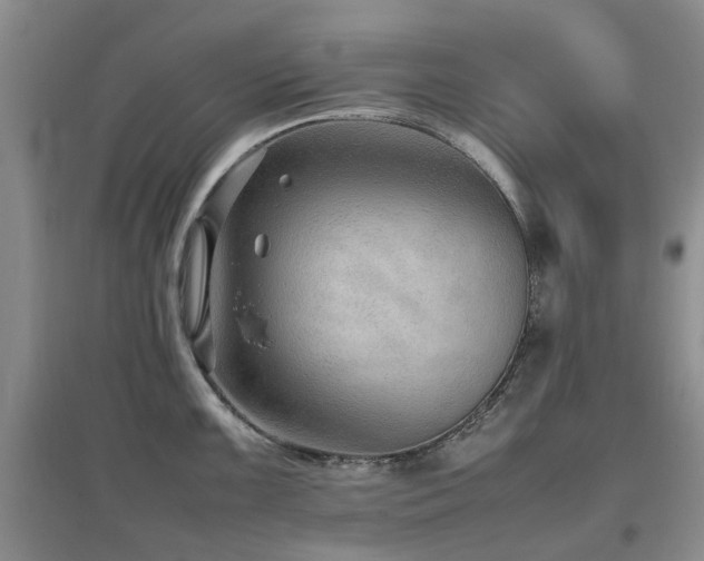 X0000097881099200803141314