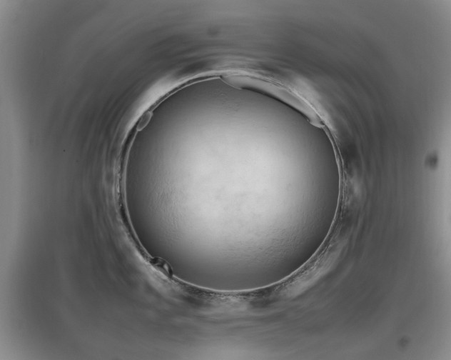 X0000097881101200803141314