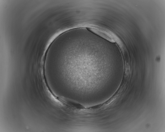 X0000097881102200803141314