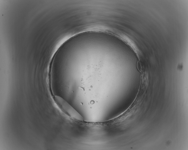 X0000097881103200803141314