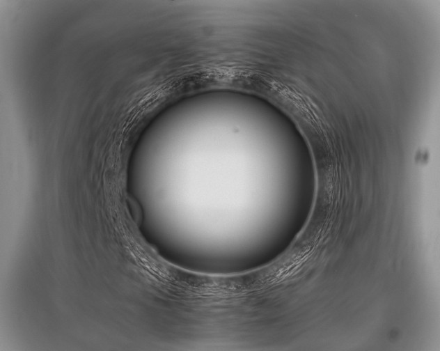 X0000097881105200803141314