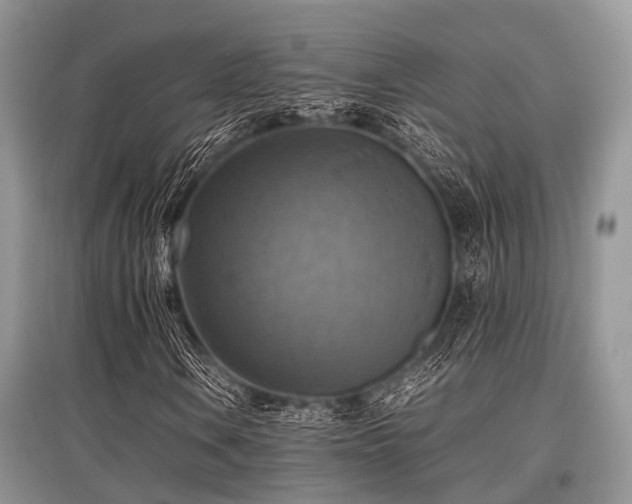 X0000097881106200803141314