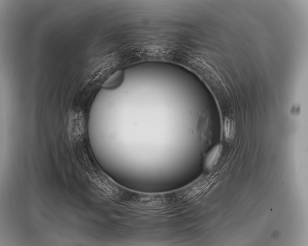 X0000097881107200803141314