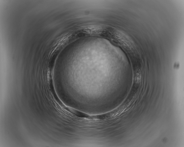 X0000097881108200803141314