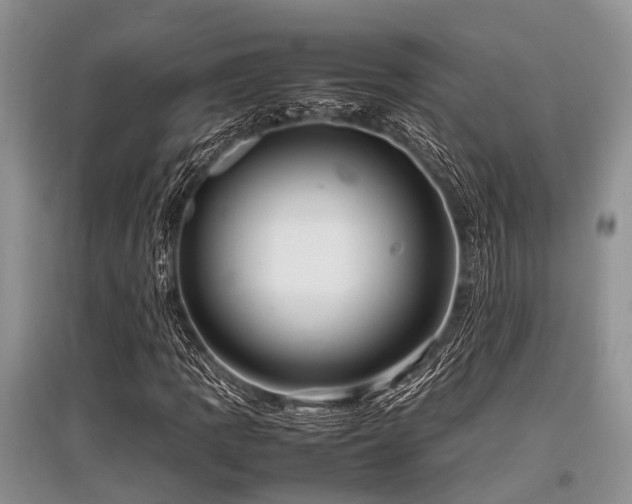X0000097881109200803141314