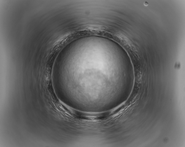 X0000097881110200803141314