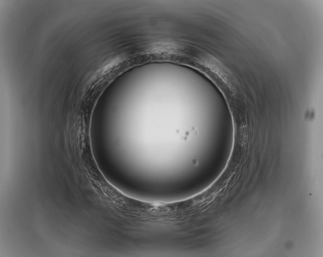 X0000097881111200803141314