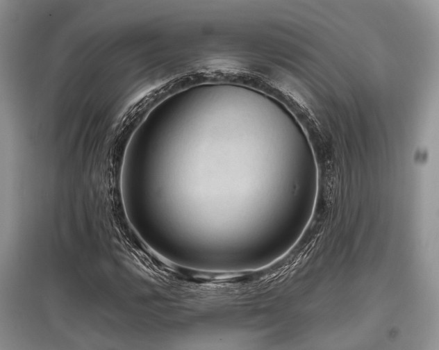 X0000097881112200803141314