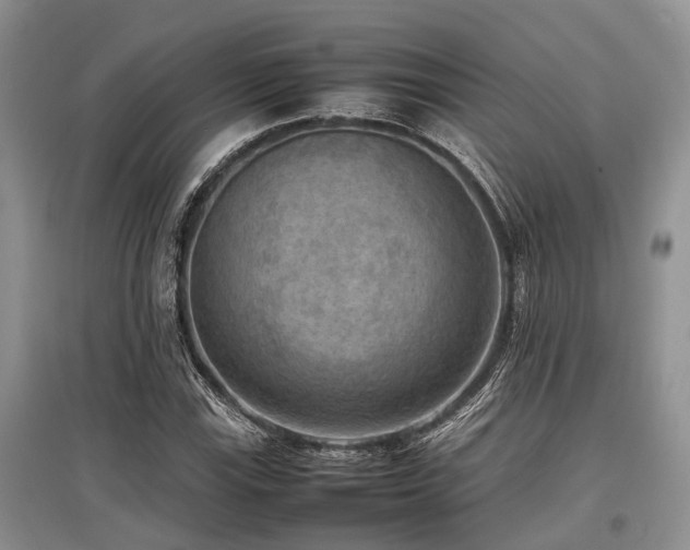 X0000097881115200803141314