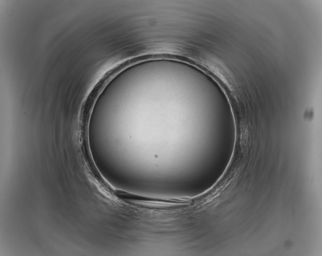 X0000097881116200803141314