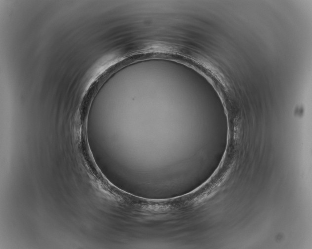 X0000097881117200803141314