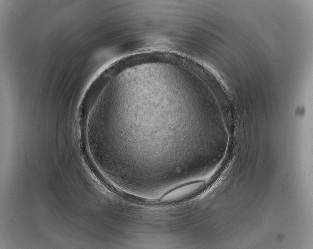 X0000097881118200803141314