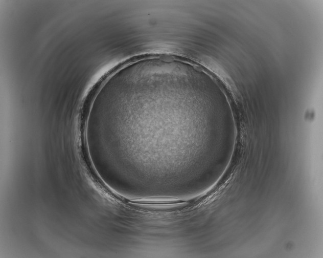 X0000097881120200803141314