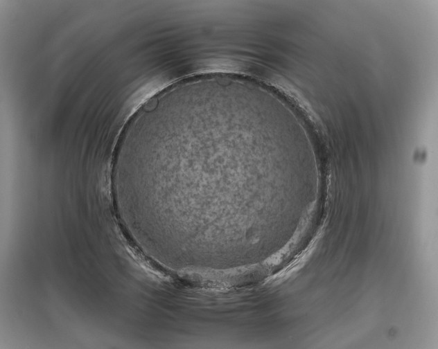 X0000097881121200803141314