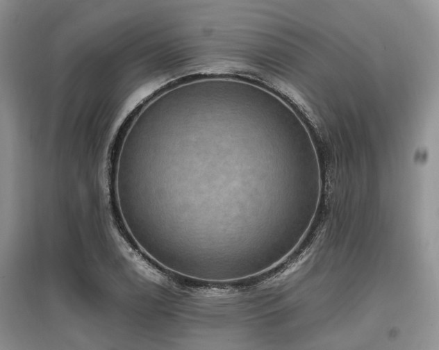 X0000097881122200803141314
