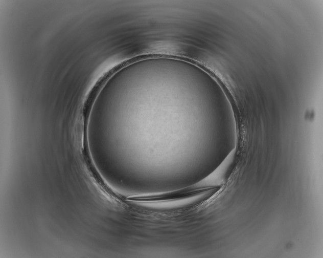 X0000097881123200803141314