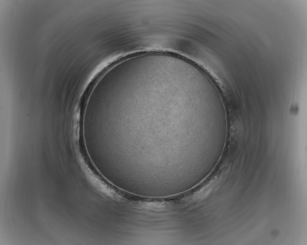 X0000097881126200803141314