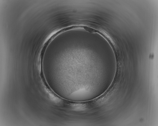 X0000097881127200803141314