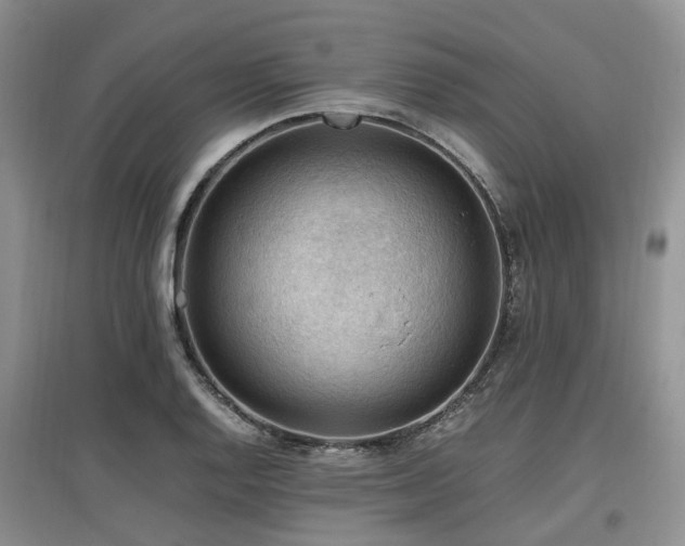 X0000097881128200803141314