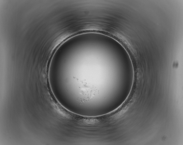 X0000097881129200803141314