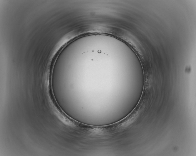 X0000097881130200803141314