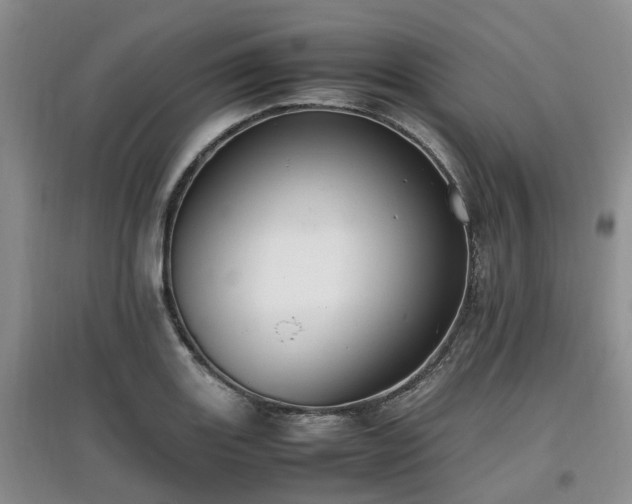 X0000097881131200803141314