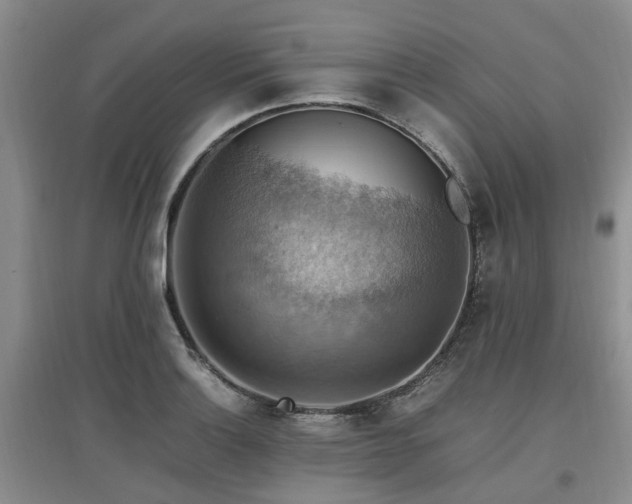 X0000097881132200803141314