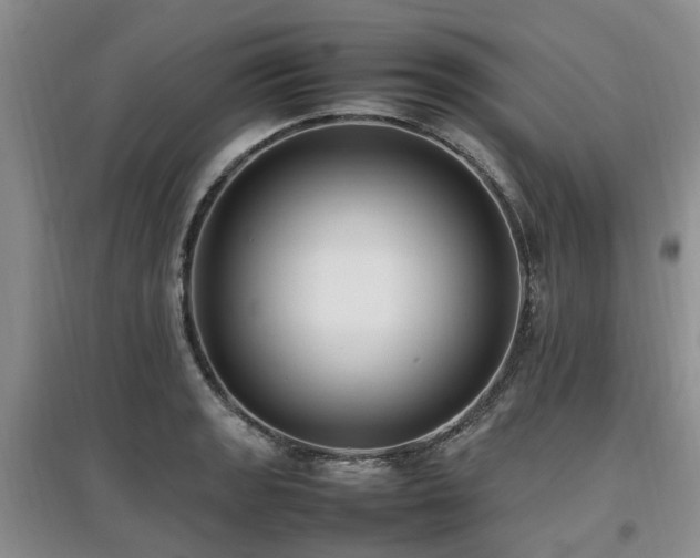 X0000097881133200803141314