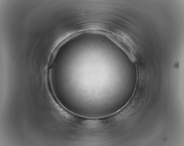 X0000097881134200803141314