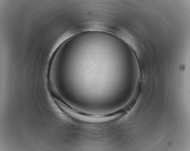 X0000097881138200803141314
