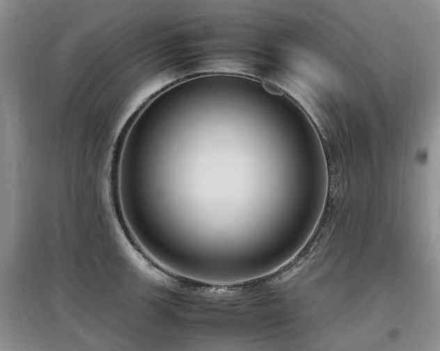 X0000097881139200803141314