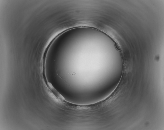 X0000097881140200803141314