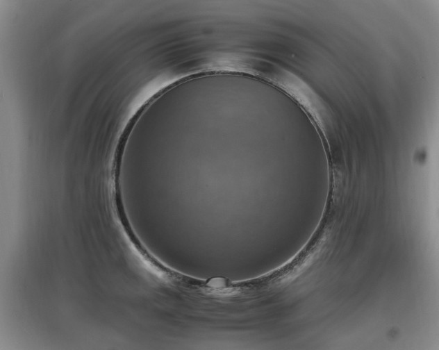 X0000097881141200803141314