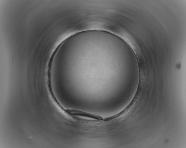 X0000097881142200803141314