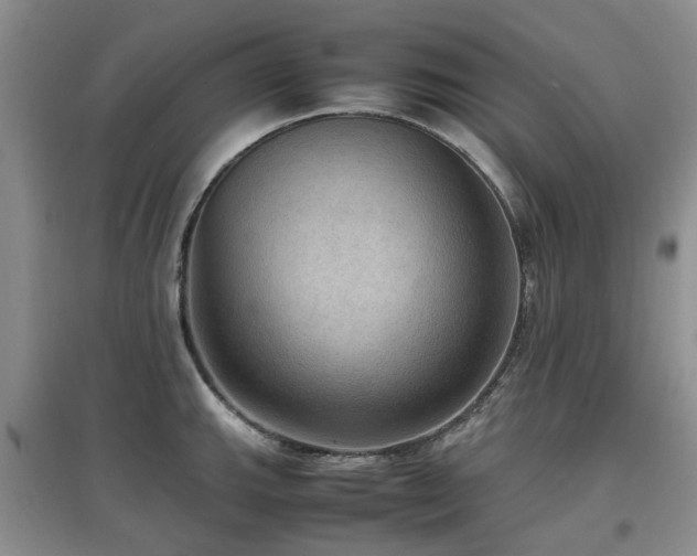 X0000097881143200803141314