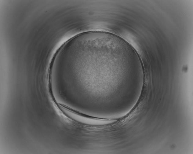 X0000097881144200803141314