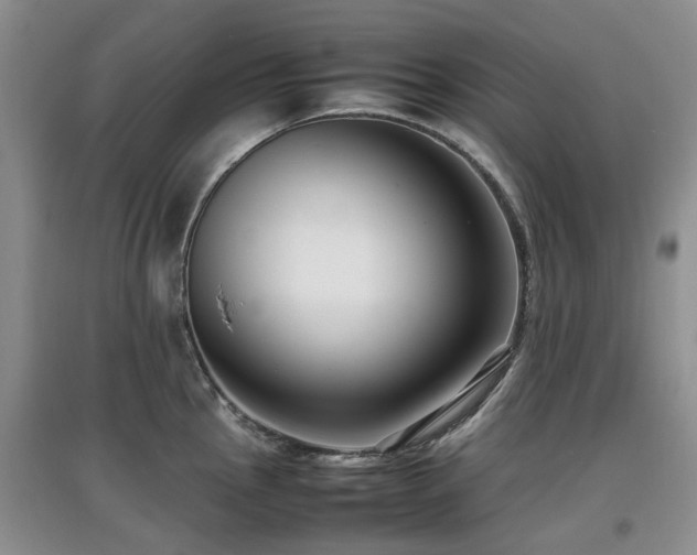 X0000097881145200803141314