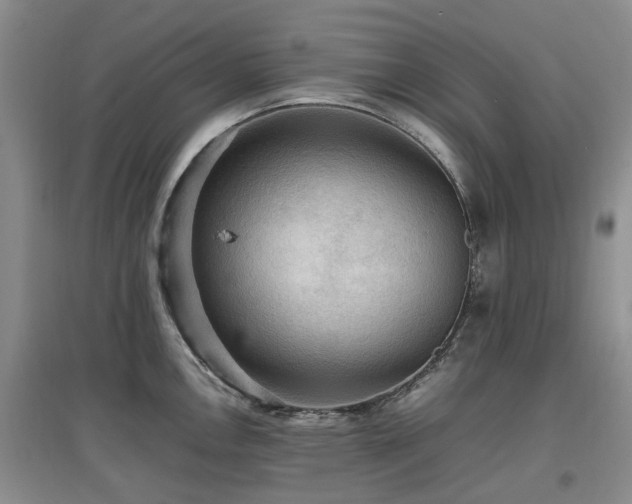 X0000097881146200803141314