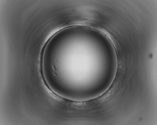 X0000097881147200803141314