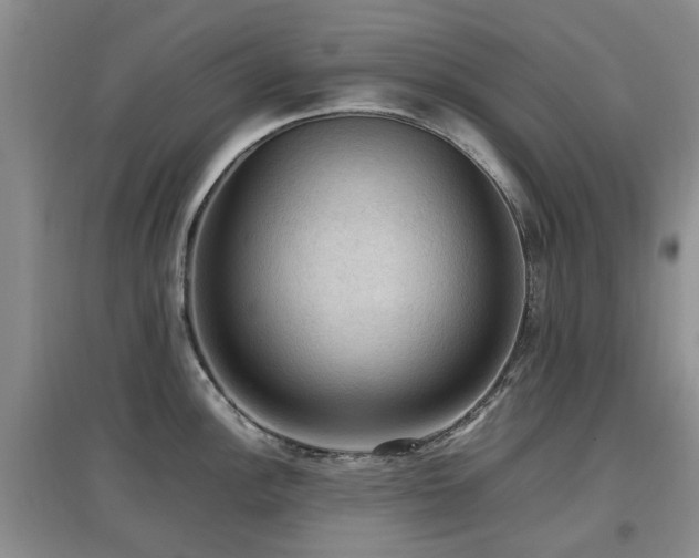 X0000097881148200803141314