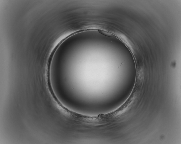 X0000097881149200803141314