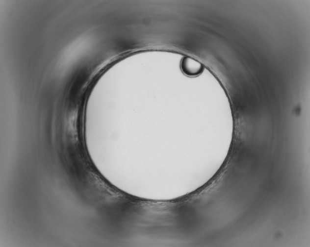 X0000097881150200803141314